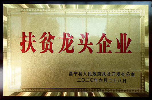 1-210S1143606491.png