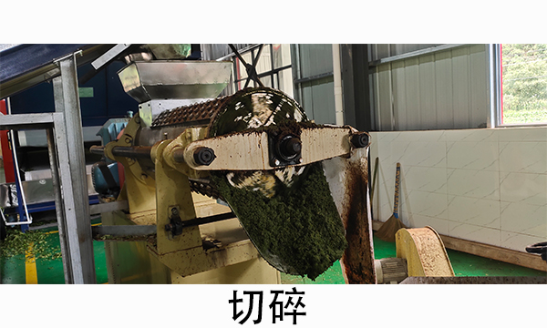 1-210Z31H00J22.jpg
